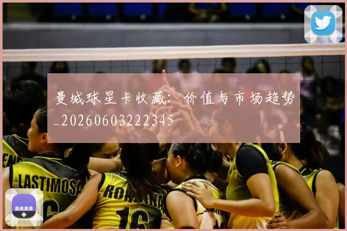曼城球星卡收藏:价值与市场趋势_20260603222345